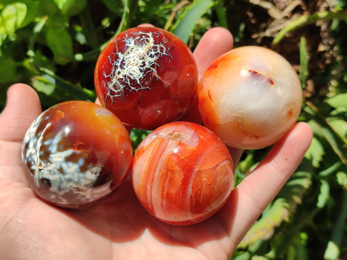 Polished Carnelian Agate Gemstone Spheres x 8 From Madagascar