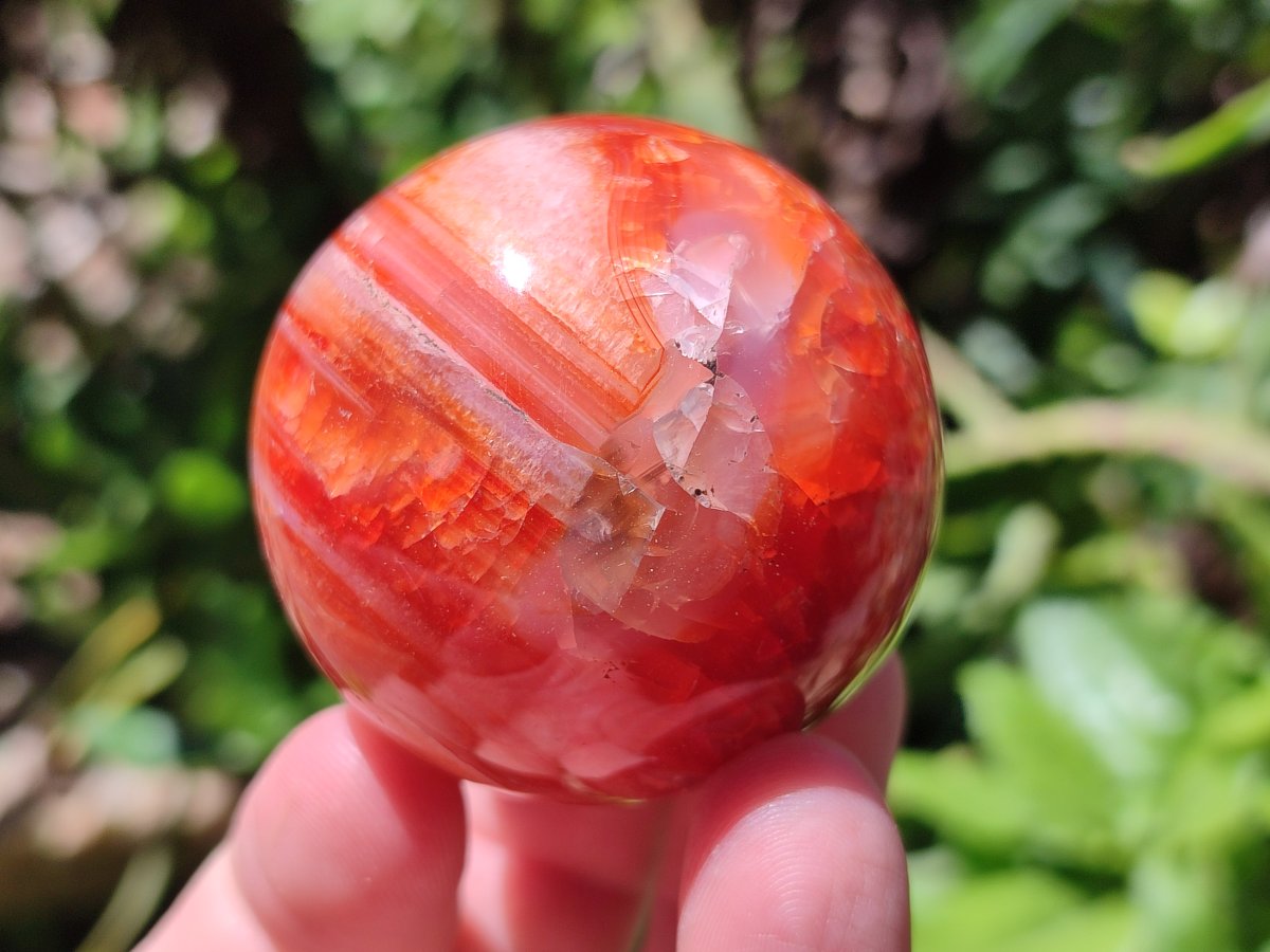 Polished Carnelian Agate Gemstone Spheres x 8 From Madagascar