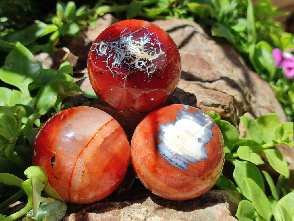 Polished Carnelian Agate Gemstone Spheres x 8 From Madagascar