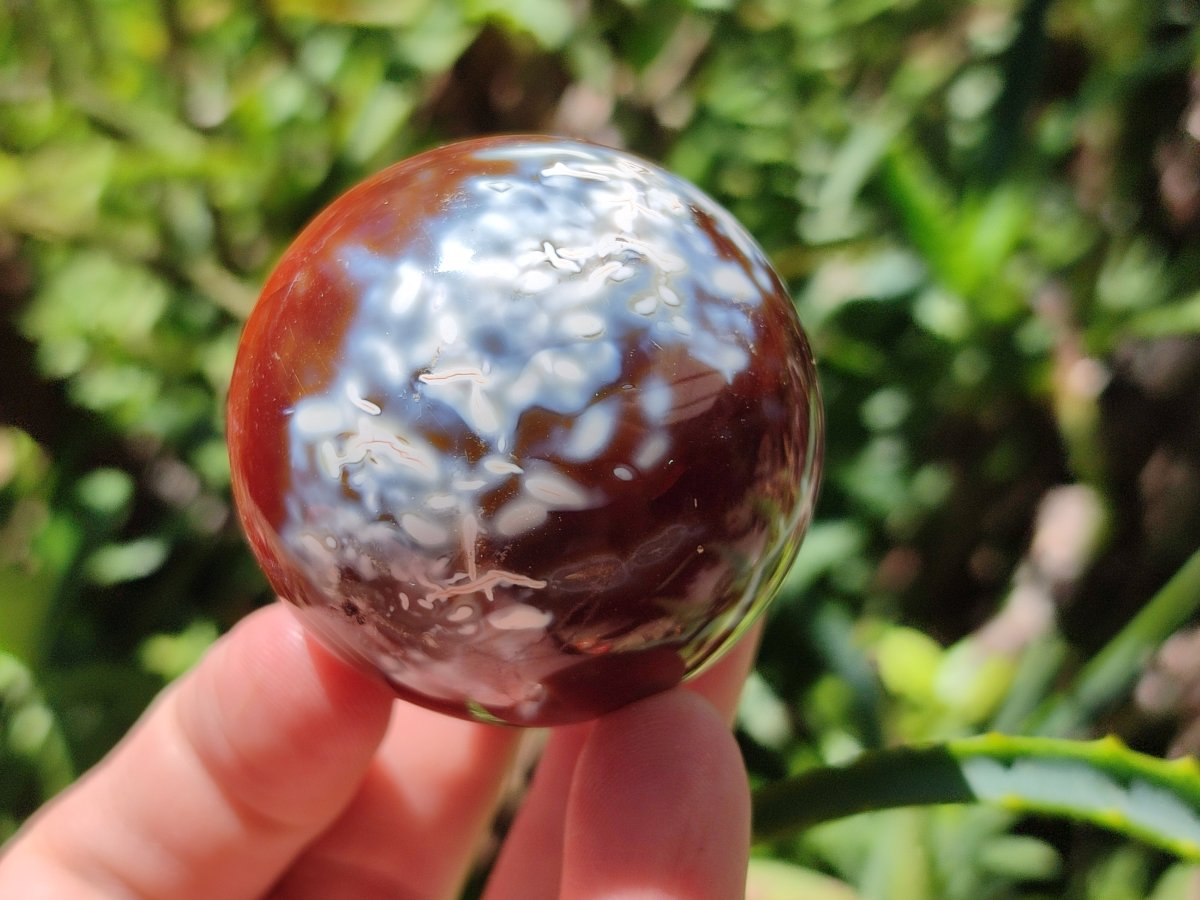 Polished Carnelian Agate Gemstone Spheres x 8 From Madagascar
