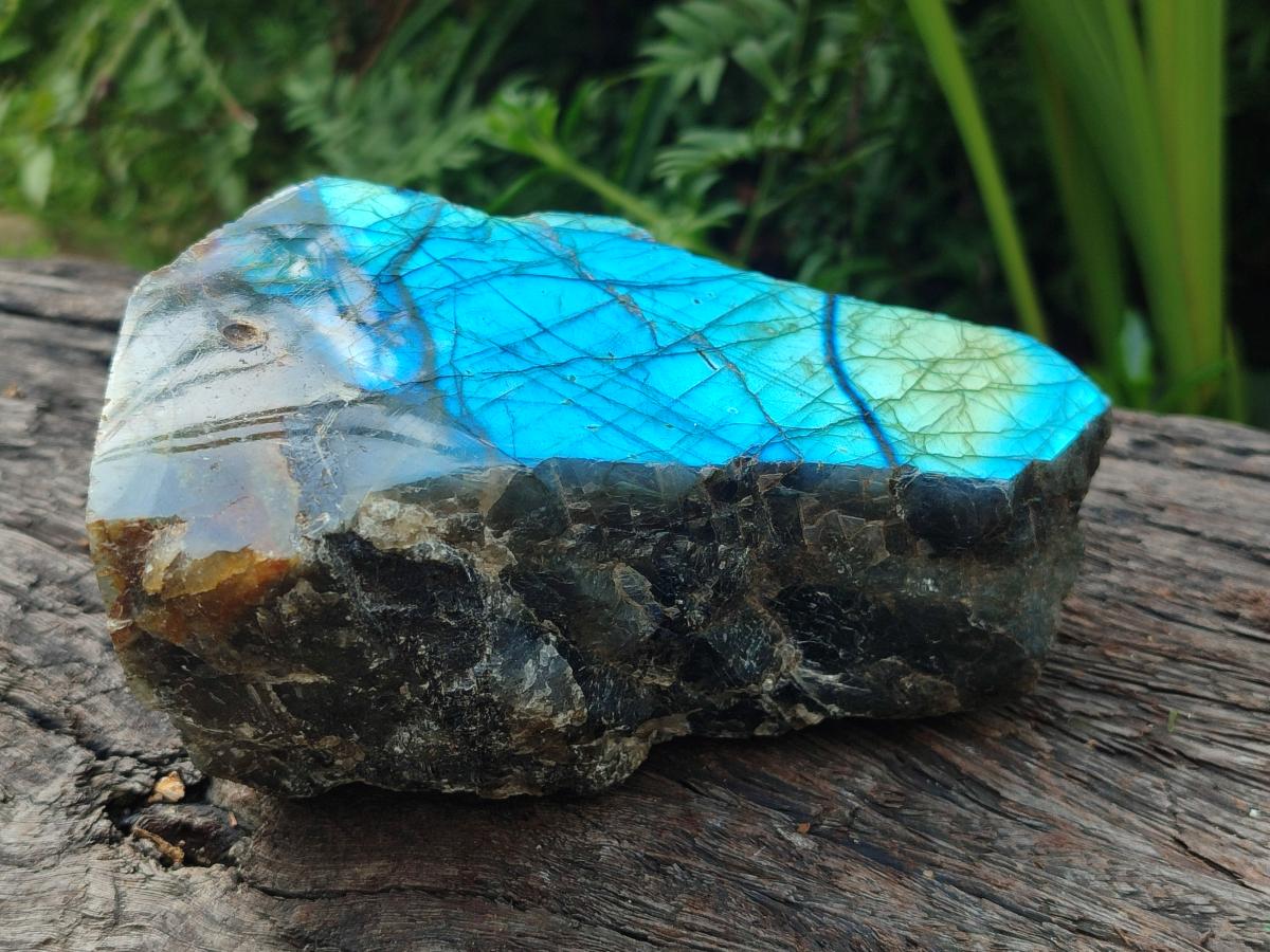 Polished One Side Labradorite Display Pieces x 2 From Madagascar
