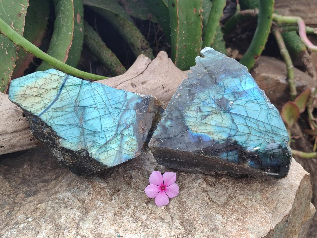 Polished One Side Labradorite Display Pieces x 2 From Madagascar