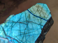 Polished One Side Labradorite Display Pieces x 2 From Madagascar