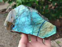 Polished One Side Labradorite Display Pieces x 2 From Madagascar