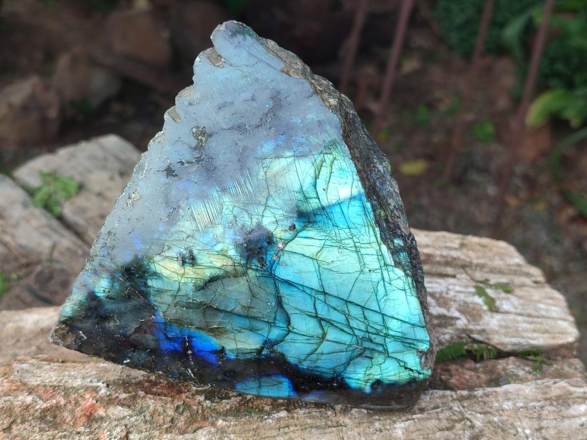 Polished One Side Labradorite Display Pieces x 2 From Madagascar