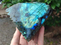 Polished One Side Labradorite Display Pieces x 2 From Madagascar