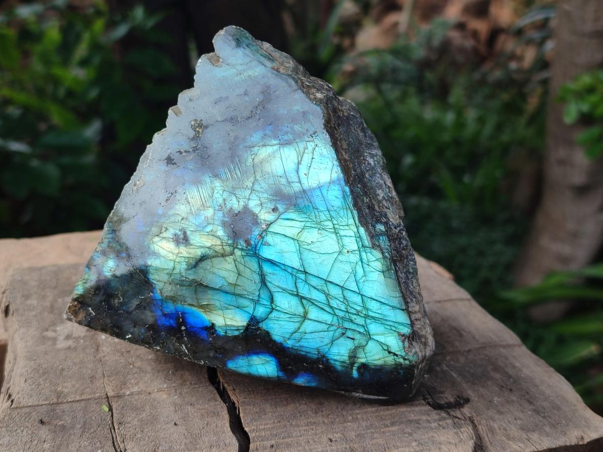 Polished One Side Labradorite Display Pieces x 2 From Madagascar