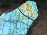 Polished One Side Labradorite Display Pieces x 2 From Madagascar