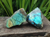 Polished One Side Labradorite Display Pieces x 2 From Madagascar