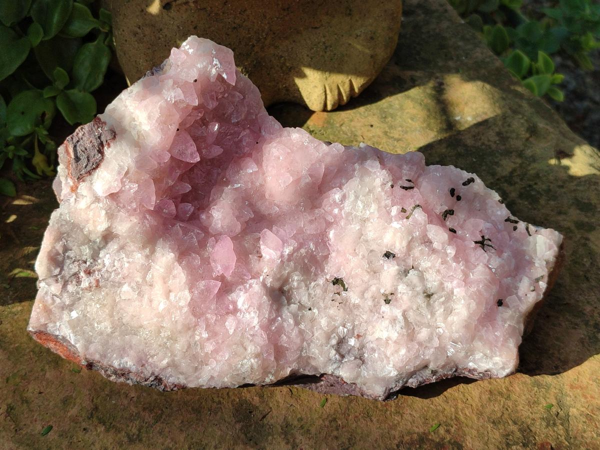 Natural Rare Rhodocalcite Specimen x 1 From Congo