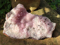Natural Rare Rhodocalcite Specimen x 1 From Congo
