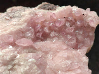 Natural Rare Rhodocalcite Specimen x 1 From Congo