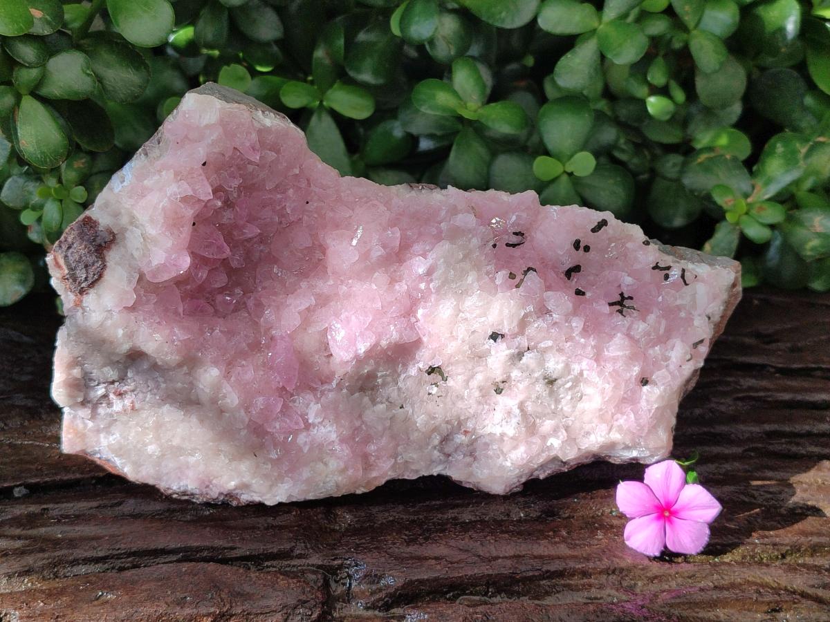 Natural Rare Rhodocalcite Specimen x 1 From Congo