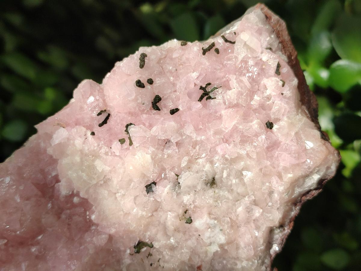 Natural Rare Rhodocalcite Specimen x 1 From Congo