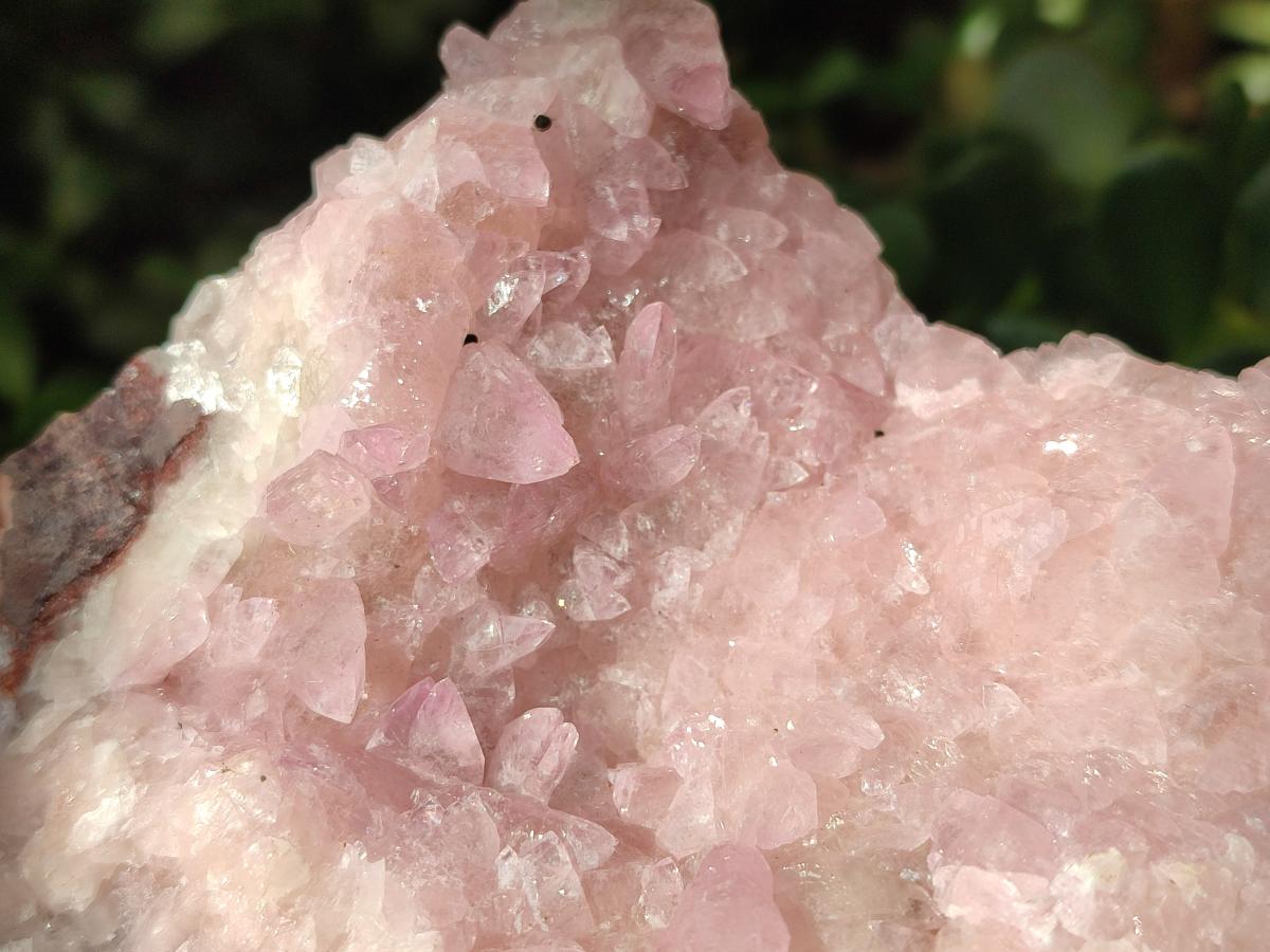 Natural Rare Rhodocalcite Specimen x 1 From Congo