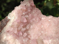 Natural Rare Rhodocalcite Specimen x 1 From Congo