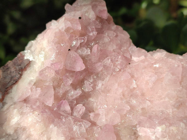 Natural Rare Rhodocalcite Specimen x 1 From Congo