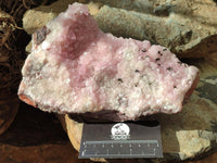 Natural Rare Rhodocalcite Specimen x 1 From Congo
