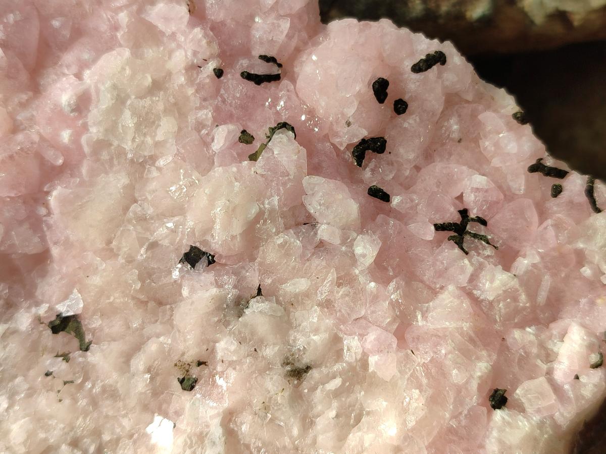 Natural Rare Rhodocalcite Specimen x 1 From Congo