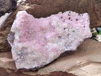 Natural Rare Rhodocalcite Specimen x 1 From Congo