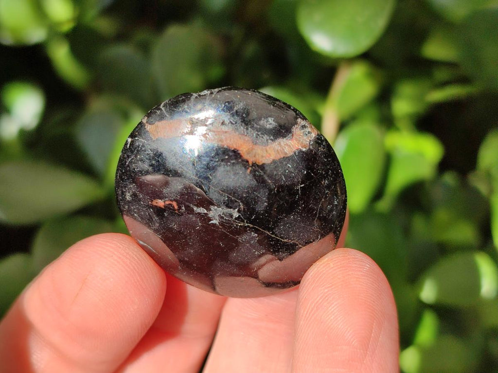 Polished Mini Black Tourmaline Free Forms x 35 From Madagascar