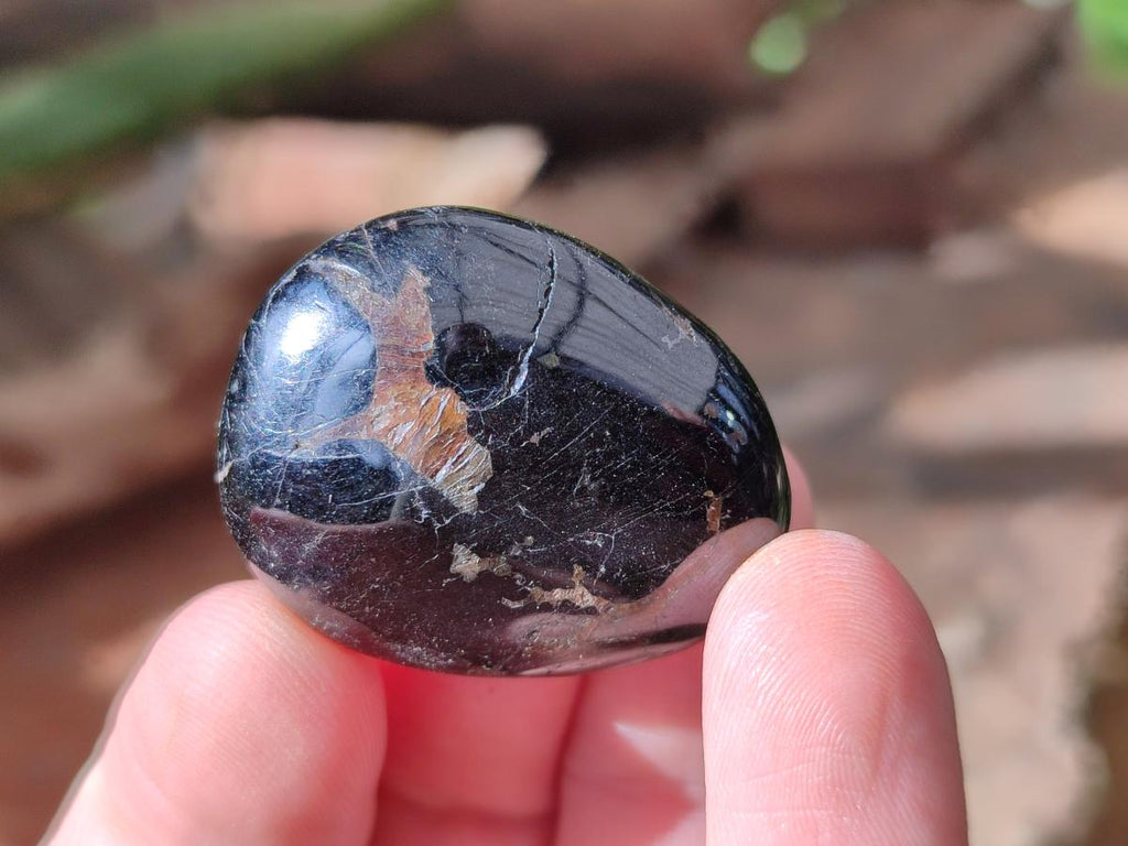 Polished Mini Black Tourmaline Free Forms x 35 From Madagascar