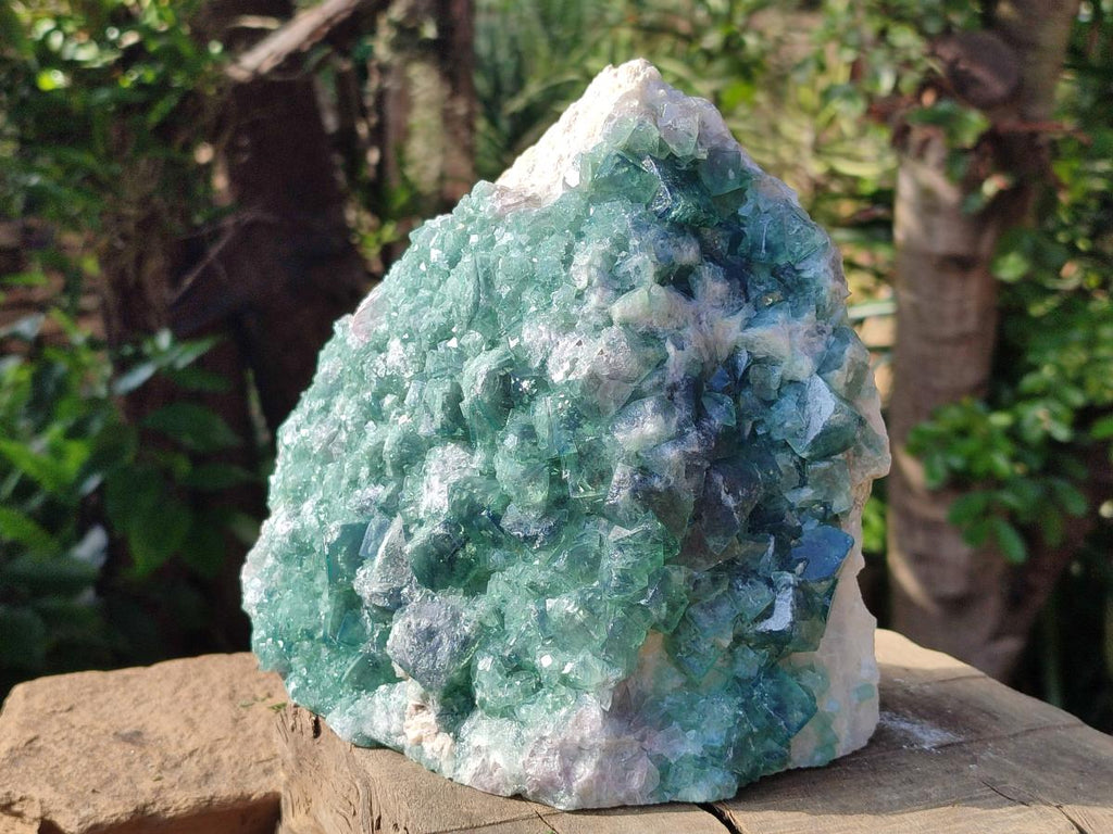 Natural Cubic Green Fluorite Cluster Specimen x 1 From Mandrosonoro, Madagascar