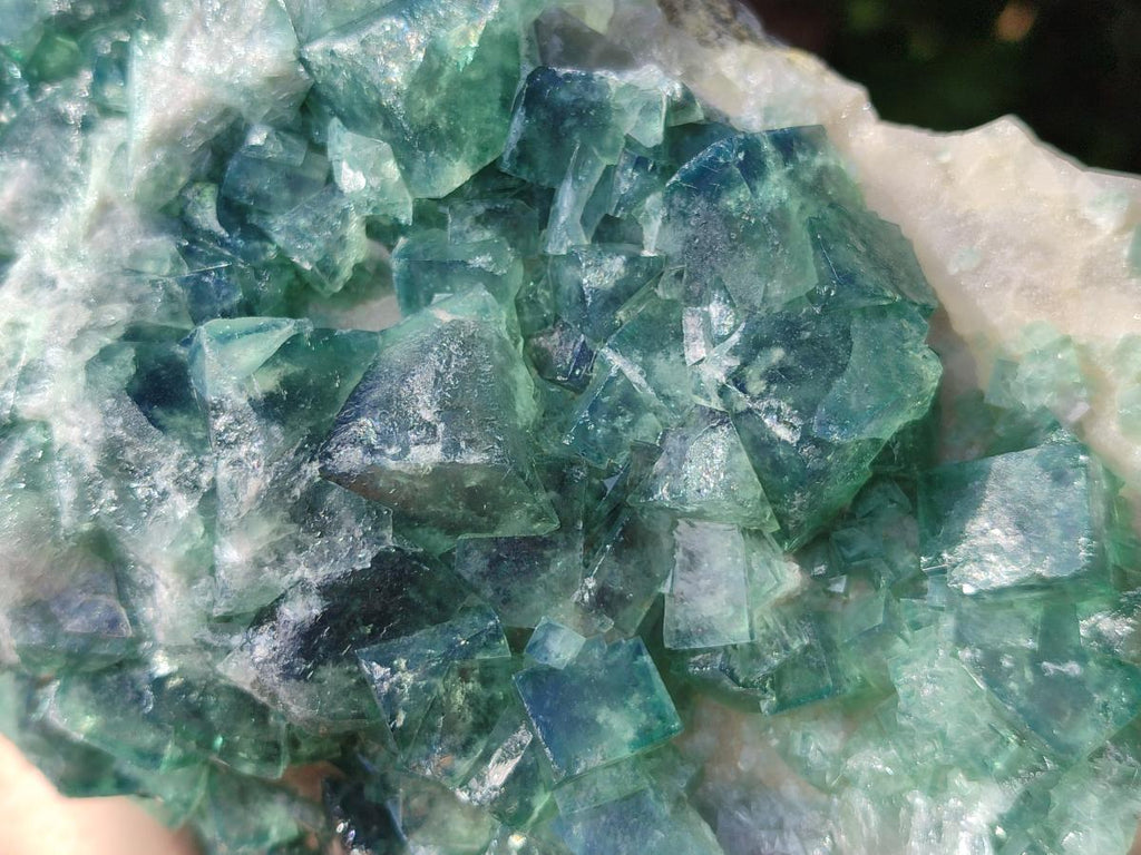Natural Cubic Green Fluorite Cluster Specimen x 1 From Mandrosonoro, Madagascar