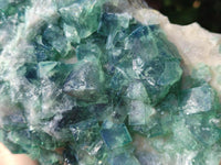 Natural Cubic Green Fluorite Cluster Specimen x 1 From Mandrosonoro, Madagascar