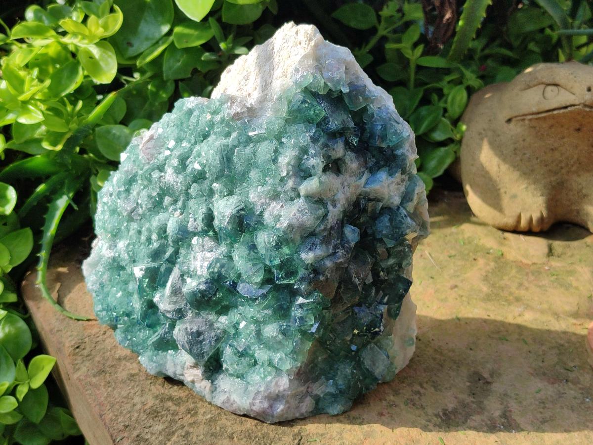 Natural Cubic Green Fluorite Cluster Specimen x 1 From Mandrosonoro, Madagascar