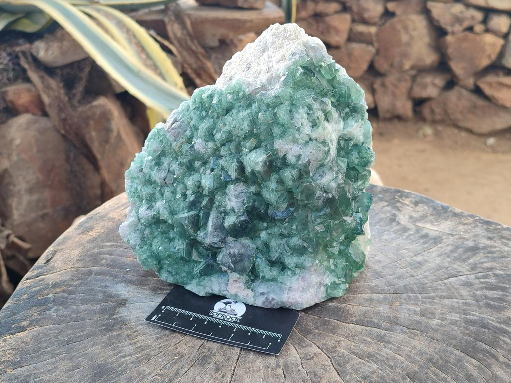 Natural Cubic Green Fluorite Cluster Specimen x 1 From Mandrosonoro, Madagascar