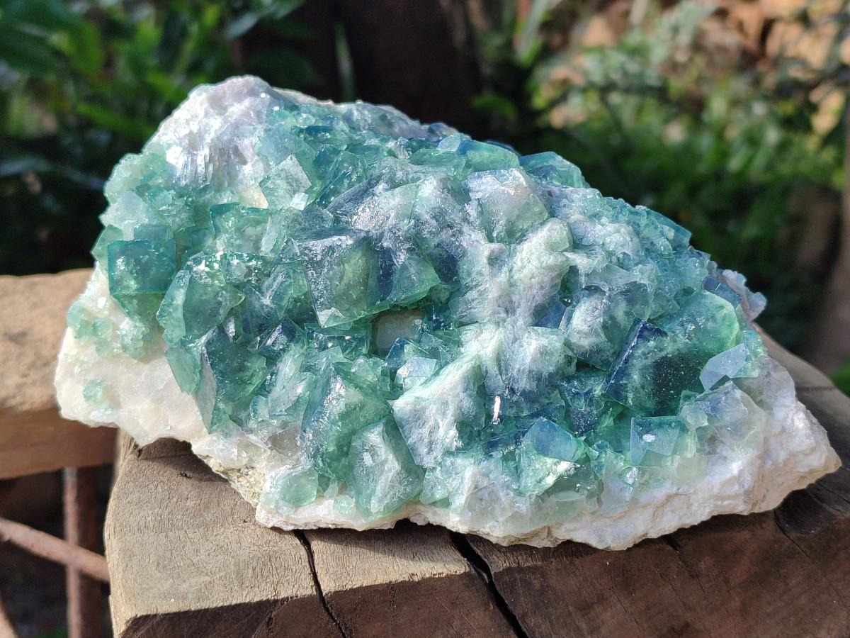 Natural Cubic Green Fluorite Cluster Specimen x 1 From Mandrosonoro, Madagascar