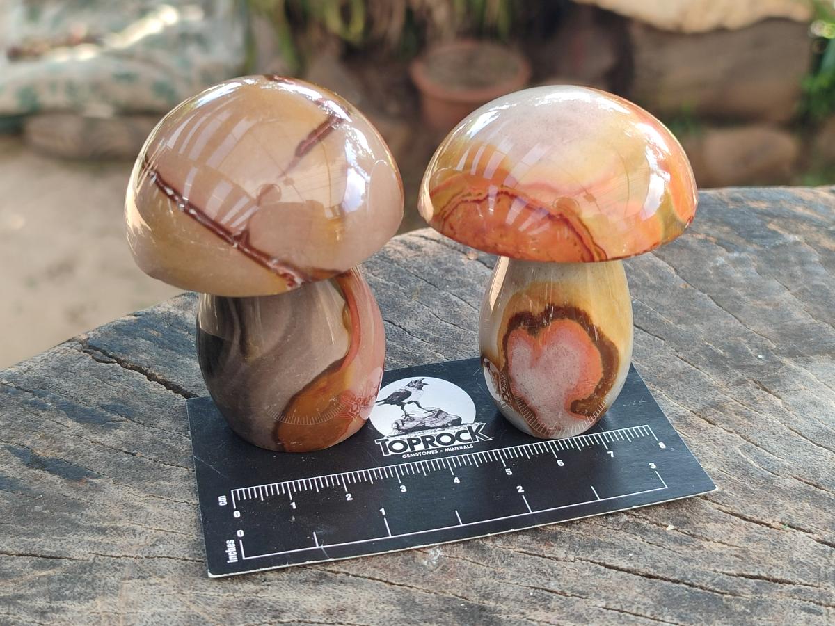 Polished Polychrome Jasper Mushrooms x 12 From NW Coast, Madagascar
