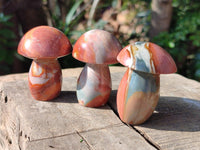 Polished Polychrome Jasper Mushrooms x 12 From NW Coast, Madagascar