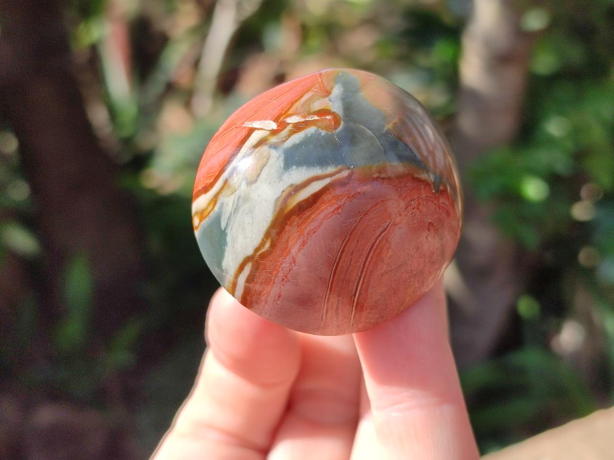 Polished Polychrome Jasper Mushrooms x 12 From NW Coast, Madagascar