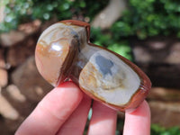 Polished Polychrome Jasper Mushrooms x 12 From NW Coast, Madagascar