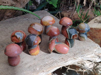 Polished Polychrome Jasper Mushrooms x 12 From NW Coast, Madagascar
