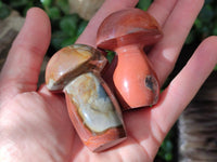 Polished Polychrome Jasper Mushrooms x 12 From NW Coast, Madagascar