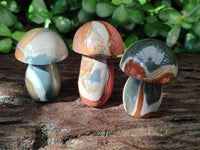 Polished Polychrome Jasper Mushrooms x 12 From NW Coast, Madagascar
