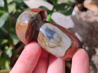 Polished Polychrome Jasper Mushrooms x 12 From NW Coast, Madagascar