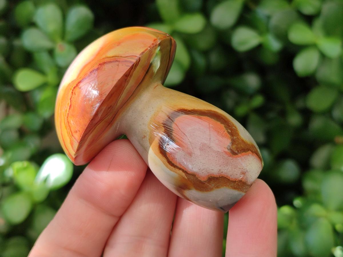 Polished Polychrome Jasper Mushrooms x 12 From NW Coast, Madagascar