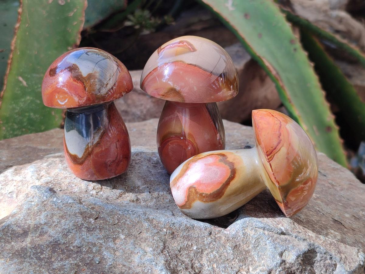 Polished Polychrome Jasper Mushrooms x 12 From NW Coast, Madagascar