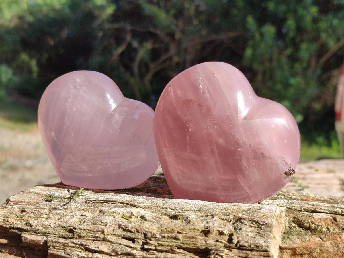 Polished Gemmy Rose Quartz Hearts x 6 From Madagascar