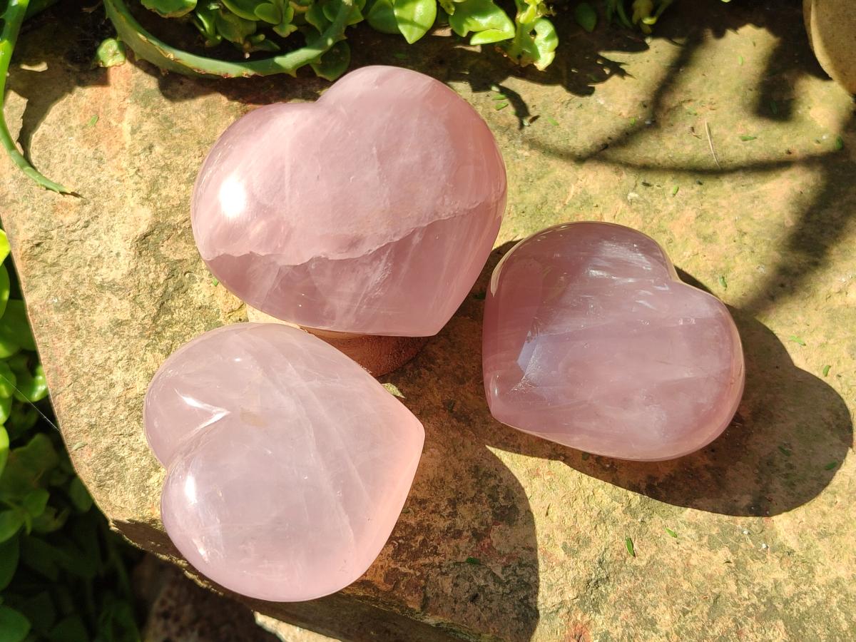 Polished Gemmy Rose Quartz Hearts x 6 From Madagascar