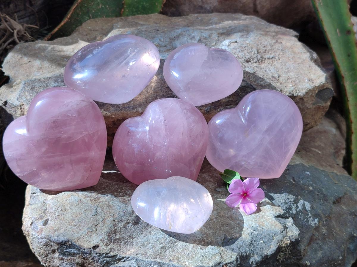 Polished Gemmy Rose Quartz Hearts x 6 From Madagascar