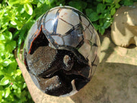 Polished XL Septerye Sauvage "Dragons Egg" Geode x 1 From Mahajanga, Madagascar