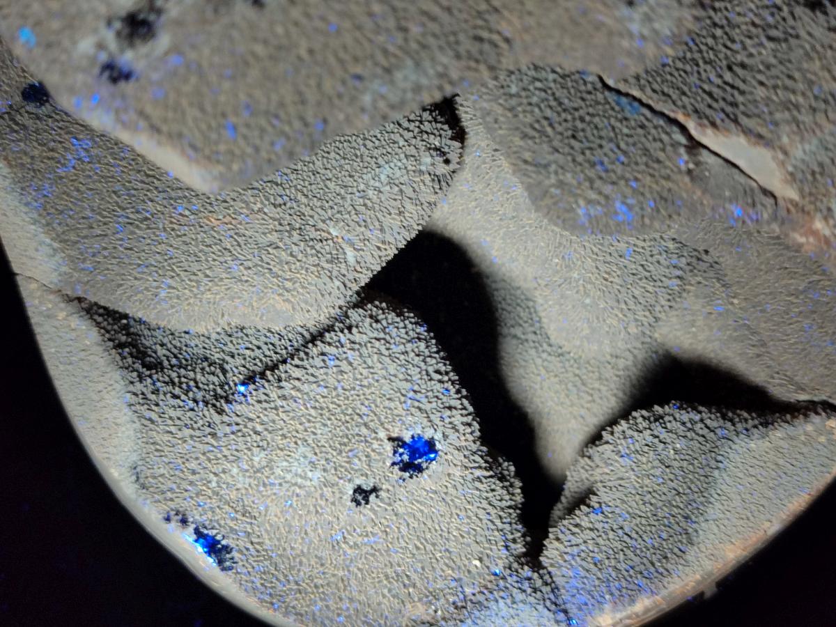 Polished XL Septerye Sauvage "Dragons Egg" Geode x 1 From Mahajanga, Madagascar