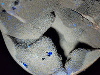 Polished XL Septerye Sauvage "Dragons Egg" Geode x 1 From Mahajanga, Madagascar