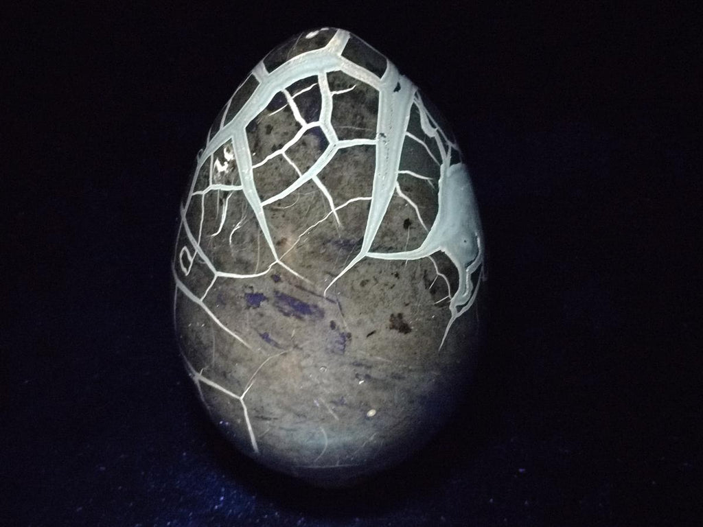 Polished XL Septerye Sauvage "Dragons Egg" Geode x 1 From Mahajanga, Madagascar