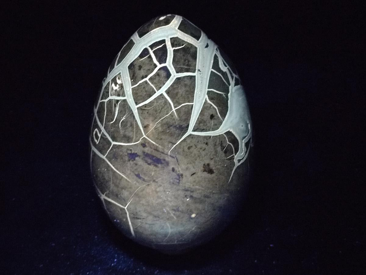 Polished XL Septerye Sauvage "Dragons Egg" Geode x 1 From Mahajanga, Madagascar